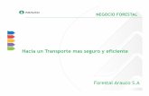 Hacia un Transporte mas seguro y eficiente · 2016. 11. 18. · Hacia un Transporte mas seguro y eficiente Forestal Arauco S.A . 33% 59% 5% 3% DISTRIBUCIÓN INCIDENTES TRANSPORTE