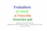 Treballem el medi a l’escola - La Paeria · 2017. 10. 30. · Treballem el medi a l’escola Insectes pal Agenda 21 Escolar de Lleida Regidoria de Medi Ambient i Horta – Ajuntament