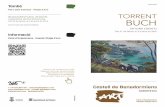 BONAVENTURA ANSÓN TORRENT · 2016. 3. 21. · Creative Environment · Painting The path of Torrent Buch was set out in the period of his training in Barcelona, where the impact of