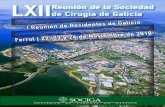 LXIIReunión de la Sociedad de Cirugía de Galiciasociga.net/wp-content/uploads/2018/10/Programa_prelimin... · 2019. 6. 24. · Los resúmenes de Comunicaciones se enviarán a través