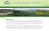 Cobertura de terreno del Bosque Nacional El Yunque y de ...€¦ · Proclama 47,909 1,262 6,895 919 44 1 La cuerda es comúnmente utilizada en Puerto Rico como una unidad de medición