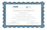 Certificado de Participacióncsmio2019.itam.mx/archivos/ReconocimientosFacultad/14... · 2019. 11. 14. · Certificado de Participación OTORGADOA: Cecilia Martín del Campo Márquez