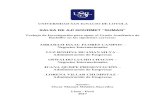 Salsa de ají gourmet Sumaq - Universidad San Ignacio de Loyolarepositorio.usil.edu.pe/bitstream/USIL/3166/3/2017...UNIVERSIDAD SAN IGNACIO DE LOYOLA SALSA DE AJÍ GOURMET “SUMAQ”