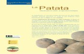 nº 5 2005 La Patata - ecoagricultor.com€¦ · La Patata Manual para su cultivo en agricultura ecológica Si antiguamente se creía que la patata provenía de una única planta