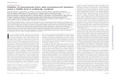 CORONAVIRUS Studies in humanized mice and convalescent ... · CORONAVIRUS Studies in humanized mice and convalescent humans yield a SARS-CoV-2 antibody cocktail Johanna Hansen 1*,