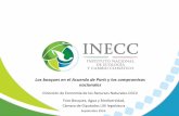Los bosques en el Acuerdo de París y los compromisos ...archivos.diputados.gob.mx/Comisiones_LXIII/agua/ponencias/09.pdfSe espera una mitigación de 24.8 MtCO 2 e que equivale a reducir