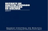 REPORTE DE CAPITAL PRIVADO EXTRANJERO EN BOLIVIA 2017_0.pdfRegistro de la Inversión Extranjera en el Estado Plurinacional de Bolivia y Operaciones Financieras con el Exterior” (RIOF),