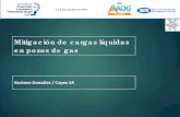 Mitigación de cargas líquidas en pozos de gas · Mitigación de cargas líquidas en pozos de gas Gustavo González / Capex SA. Experiencia de descarga de ... Alternativas implementadas.