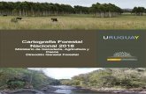 URUGUAY - gub.uy · Cartografía Forestal Nacional 2018 2 EQUIPO DE TRABAJO Cartografía Nacional del Bosque Plantado 2018 (CNBP) Ejecutada por la División Evaluación e Información
