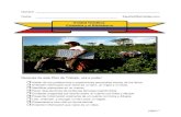 Unidad Temática: Colombia y el Biblioburromiscositas.com/Thematic Unit-El Biblioburro.pdf1. La región caribe 2. La región andina 3. La región pacífico 4. La región orinoquía
