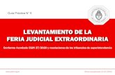 LEVANTAMIENTO DE LA FERIA JUDICIAL EXTRAORDINARIAa 9... · -y la misma fue concedida-, o en las causas en las que el juez haya habilitado la feria de oficio, no rige la reanudación