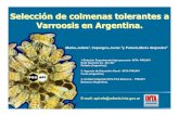 Selección de colmenas tolerantes a Varroosis en Argentina. · destructor en colmenas de diferente origen (I, II y III), durante e periodo otoño- invierno 2006 Variables Origen I