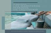 El caso contra LOS MAMÍFEROS MARINOS EN CAUTIVERIOsosdelfines.org/uploads/docs/AWI-ML-CAMMIC-5th-edition...Los problemas éticos que plantea el cautiverio de mamíferos marinos son