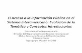 El Acceso a la Información Pública en el Sistema ... · 2. Informe sobre el cuestionario “Legislación y Mejores Prácticas sobre Acceso a la Información Pública, CP/CAJP-2608/08,