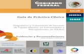 Guía de Práctica Clínicaisssteags.gob.mx/guias_praticas_medicas/gpc/docs/... · Los sarcomas de tejidos blandos (STB) son un grupo heterogéneo de tumores (de origen mesenquimal