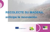 RECOLECTE SU MADERA, anticipe la renovacióneforown.ctfc.cat/pdf/24 Disene su proyecto de repoblacion_ES.pdf · Etapa 5: compra de plantas 4pasosobligatorios: 1. ASEGÚRESE que haya