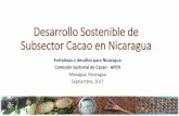 Desarrollo Sostenible de Subsector Cacao en Nicaraguaexpoapen.apen.org.ni/wp-content/uploads/2017/09/13_MN_APEN_CA… · 2016 –2017: • ↑8% en ... Está en proceso de fortalecimiento