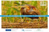 AVES ACUÁTICAS DE ANDALUCÍA Y MARRUECOSassated.com/wp-content/uploads/2018/12/Aves... · la conservación integrada en coordinación con la Administración de Marruecos. En esta