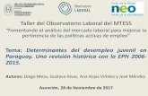 Taller del Observatorio Laboral del MTESS€¦ · Estructura de la presentación •Introducción. ... que inciden sobre el desempleo juvenil en Paraguay, ... • Potenciar los programas