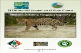 El Futuro del Jaguar en el Gran Chaco - SIB...El Taller “El futuro del Jaguar en el Gran Chaco” fue concebido con la finalidad de generar un intecambio de información y experiencias