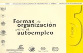 Formas de organización - OIT/Cinterfor · Formas de organización para el autoempleo. 2 Integración laboral Esta es una edición inicial para validación de los materiales producidos