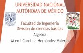 UNIVERSIDAD NACIONAL AUTÓNOMA DE MÉXICOalgebrafi.emiweb.es/medias/files/presentacion-1.pdf · 2017. 8. 7. · Actividades en clase 20% Tareas 15% Bitácora, Bitácora FI y Tutorias