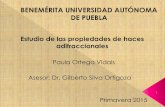 Paula Ortega Vidals Asesor: Dr. Gilberto Silva Ortigoza · 2015. 2. 26. · Se ha comenzado por estudiar el comportamiento de los haces adifraccionales reportados en artículos. Relacionar