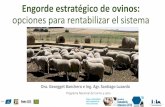 Engorde estratégico de ovinos: opciones para rentabilizar ... · con 4 a 5 meses de edad Cría de los corderos Muy lenta: Promedio de los trabajos nacionales: 45g/a/d Un cordero