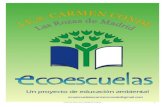 ECOESCUELA IES CARMEN CONDE 1 - Las Rozas de Madrid · 2017. 1. 26. · ECOESCUELA IES CARMEN CONDE 38 •, Se estudiaron los consumos del centro : agua, luz, electricidad, con el