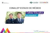 Conalep Estado de México · niveles de habilidad establecidos en su Certificado DynEd con confianza. A diferencia de la mayoría de los programas de certificación, la precisión