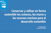 Conservar y utilizar en forma sostenible los océanos, los ...catedraunescoeads.es/wp-content/uploads/2019/10/... · EL ODS 14 PRETENDE CONSERVAR Y UTILIZAR EN FORMA SOSTENIBLE LOS