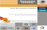 Guía de Práctica Clínica - evaluacion.ssm.gob.mxevaluacion.ssm.gob.mx/pdf/gpc/eyr/IMSS-104-08.pdf · Carolina Contreras Apolonio Enfermería Especialista en el Anciano Instituto