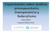 Capacitación sobre análisis presupuestario, transparencia ... · Capacitación sobre análisis presupuestario, transparencia y federalismo Julio 2011 Luciana Díaz Frers . CONTENIDO