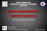 Federación Argentina de Cardiología - Posadas. Marzo 2012 · 2020. 4. 30. · suspensión de ejercicio. CORAZON DE ATLETA • Cavidades con diámetros aumentados. • Espesores
