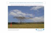 Resultados de mediciones de viento - Inicio - MEM · Chiquimulilla, departamento de Santa Rosa. De la ciudad capital a Chiquimulilla existen 116 kilómetros y de ahí a Guayabales