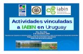 Actividades vinculadas a IABIN en Uruguay · SOBRE BIODIVERIDAD (IABIN) EN ESPECIES EXÓTICAS INVASORAS (I3N) 19, 20 y 21 de diciembre 2005 Facultad de Ciencias Montevideo, Uruguay.