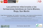 Las palmeras relacionadas a las formaciones kársticas en Cerro …cuevasdelperu.org/Conferencias/Chachapoyas2018/Rodriguez.pdf · 2018. 9. 18. · Las palmeras relacionadas a las