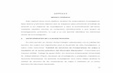 CAPITULO II MARCO TEÓRICO - URBEvirtual.urbe.edu/tesispub/0088956/cap02.pdf · base teórica y términos básicos que se requieren para estructurar el trabajo de acuerdo a los objetivos
