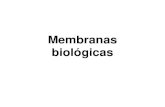 Membranas biológicas - UNAMdepa.fquim.unam.mx/amyd/archivero/2.1.MEMBRANASBIOLOGICAS_24471.pdfMembranas biológicas • Las proteínas específica median diferentes funciones de las