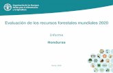 Evaluación de los recursos forestales mundiales (FRA) 2020 Honduras - Informe · Si un informe no está disponible, la secretaría de FRA elabora un estudio de gabinete utilizando
