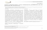 Injerto gingival libre como tratamiento profiláctico en un paciente …odontologia.uady.mx/revistas/rol/pdf/V01N2p51.pdf · 2020. 6. 25. · 51 Injerto gingival libre como tratamiento