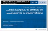 MITOCLASS.1, un predictor de patogenicidad para …zaguan.unizar.es/record/56719/files/TESIS-2016-201.pdf2016 201 Antonio Martín Navarro MITOCLASS.1, un predictor de patogenicidad