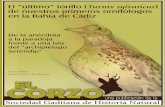 El “último” torillosociedadgaditanahistorianatural.com/wp-content... · 2 J Ruiz-JC Rodríguez El “último” torillo de nuestros primeros ornitólogos en la Bahía de Cádiz