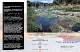 “por un río vivo”CDPTICOJORNADASTAJOBAJA.pdfPlataforma en Defensa de los Ríos Tajo y Alberche de Talavera de la Reina COLABORAN Fundación Nueva Cultura del Agua Ayuntamiento