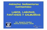 Ambientes Sedimentarios Continentales: LAGOS, LAGUNAS ...usuarios.geofisica.unam.mx/cecilia/cursos//AmbSedLac.pdf · Lago Vostok: 14,000 km2, 1,800 km3, 125 m prof. media bajo 3,710