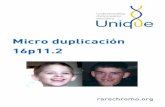 Micro duplicación 16p11 · Más susceptibilidad al autismo o trastorno del espectro autista Más susceptibilidad a problemas de salud mental En algunos, un defecto de nacimiento