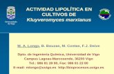 New ACTIVIDAD LIPOLÍTICA EN CULTIVOS DE · 2011. 5. 11. · ACTIVIDAD LIPOLÍTICA EN CULTIVOS DE Kluyveromyces marxianus Universidade de Vigo M. A. Longo, B. Bouzas, M. Costas, F.J.