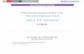 PROGRAMACIÓN DE TELECONSULTAS MES DE MARZO LIMA...HOSPITAL NACIONAL DOCENTE MADRE NIÑO "SAN BARTOLOMÉ" PROGRAMACIÓN DE TELECONSULTA - MARZO 2019 HORA VIE 01 ... Gineco obstetricia