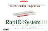 RapID STR System - Sistemas Avanzados de Análisis...3. Con una torunda de algodón o un asa de inoculación, suspender suficiente Incubación de los paneles RapID STR:crecimiento