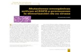 Mutaciones oncogénicas activan el E gfr y promueven la … · Mutaciones oncogénicas activan el EGFR. Vol. 55, N.o 5. Septiembre-Octubre 2012 61 fa 1.igur Representación esquemática